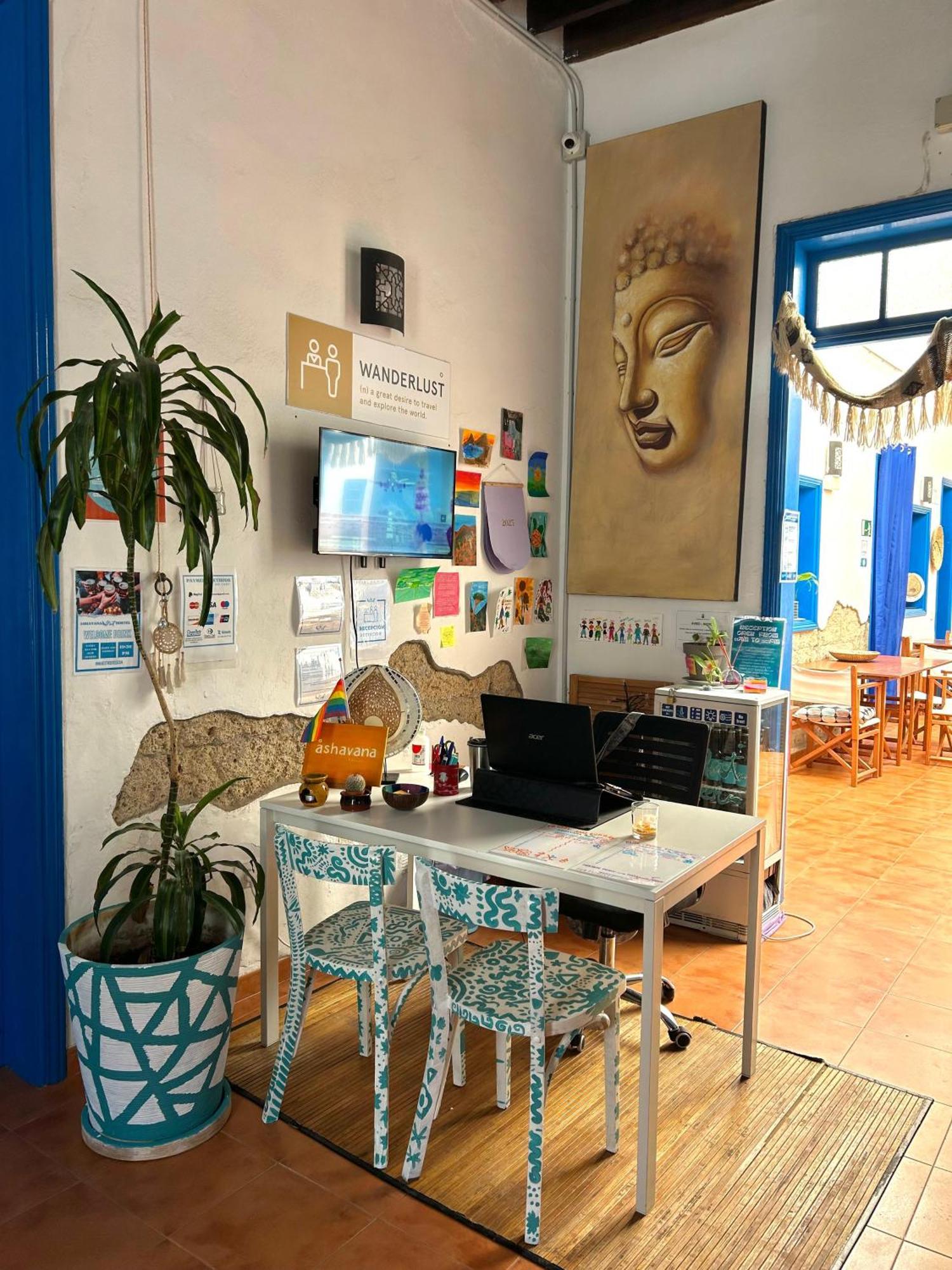 Ashavana Nest Hostel 엘메다노 외부 사진