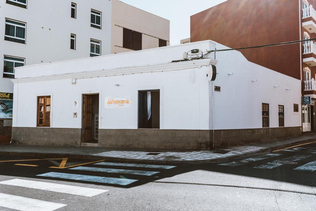 Ashavana Nest Hostel 엘메다노 외부 사진