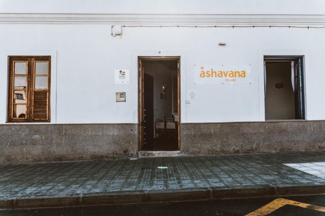 Ashavana Nest Hostel 엘메다노 외부 사진